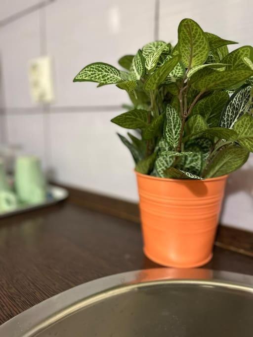 Apartman 2# Sunflower Cozy